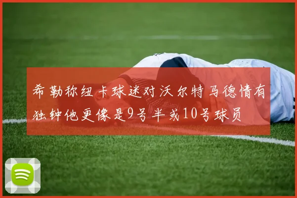 希勒称纽卡球迷对沃尔特马德情有独钟他更像是9号半或10号球员